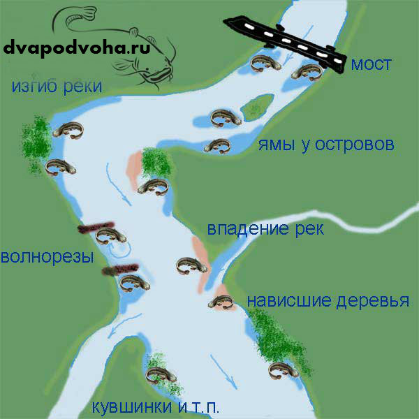 lovlya-soma-dlya-nachinayushhix-rybakov-somyatnikov