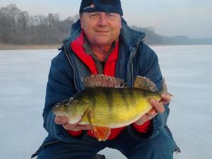 Особенности рыбалки в холодный период года: каковы нюансы ловли окуня зимой? Обучающее видео